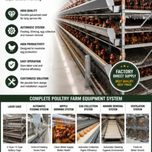 Full Set Poultry Equipment Battery Cage System for Layer Chicken Farm | Automatic Egg Production Solutions