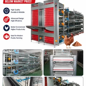 Hot-Selling Poultry Equipment Automatic High-Quality Chicken Cage H-Type Layer Raising Cages Suitable for Poultry Farm Equipment