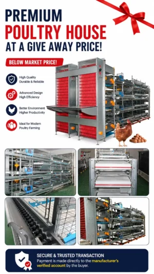 Hot-Selling Poultry Equipment Automatic High-Quality Chicken Cage H-Type Layer Raising Cages Suitable for Poultry Farm Equipment